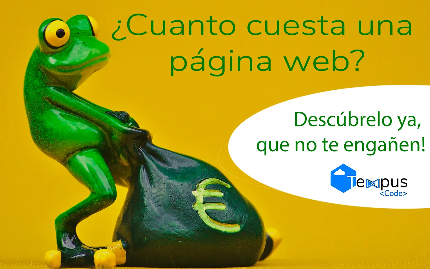 ¿Cual es el precio de una página web?